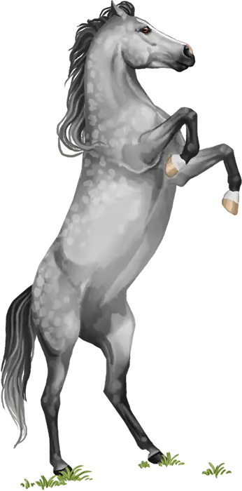 Herd member Venilla from My Horsez
